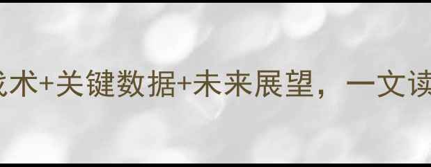 图片 塞尔维亚vs立陶宛高清战报：战术+关键数据+未来展望，一文读懂这场欧洲杯预选赛经典对决1