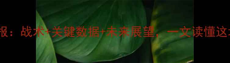 图片 塞尔维亚vs立陶宛高清战报：战术+关键数据+未来展望，一文读懂这场欧洲杯预选赛经典对决2