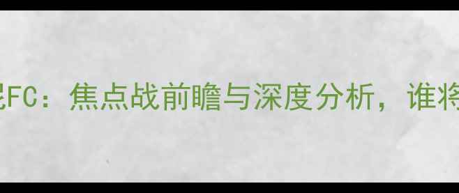 图片 墨尔本胜利vs悉尼FC：焦点战前瞻与深度分析，谁将问鼎澳超冠军？2