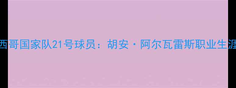 图片 墨西哥国家队21号球员：胡安·阿尔瓦雷斯职业生涯全