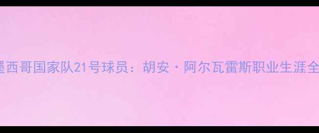 图片 墨西哥国家队21号球员：胡安·阿尔瓦雷斯职业生涯全1