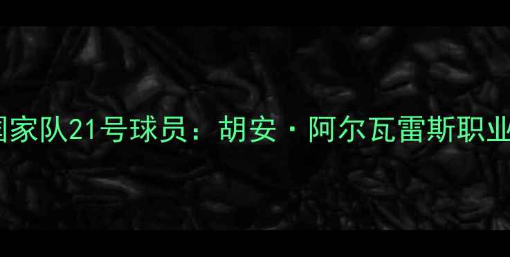 图片 墨西哥国家队21号球员：胡安·阿尔瓦雷斯职业生涯全2