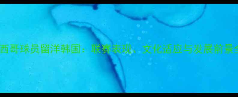 图片 墨西哥球员留洋韩国：联赛表现、文化适应与发展前景全1