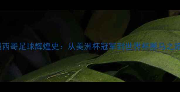 图片 墨西哥足球辉煌史：从美洲杯冠军到世界杯黑马之路1