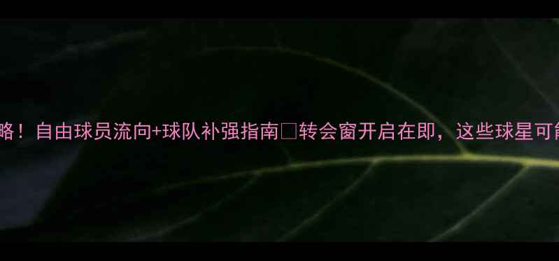 图片 夏季转会市场全攻略！自由球员流向+球队补强指南🌞转会窗开启在即，这些球星可能改变联盟格局！1