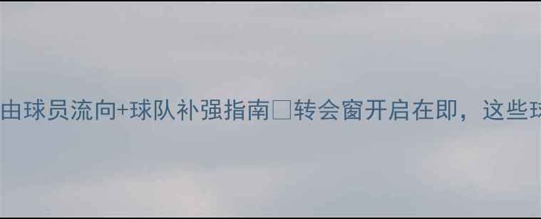 图片 夏季转会市场全攻略！自由球员流向+球队补强指南🌞转会窗开启在即，这些球星可能改变联盟格局！2