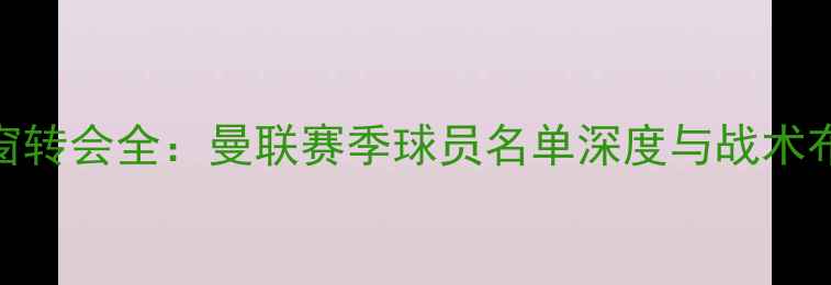 图片 夏窗转会全：曼联赛季球员名单深度与战术布局
