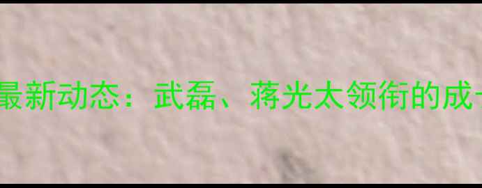 图片 多特蒙德中国球员最新动态：武磊、蒋光太领衔的成长之路与未来展望1