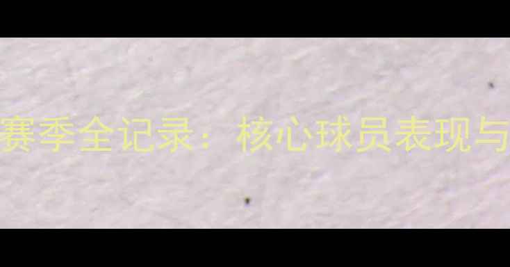 图片 多特蒙德赛季全记录：核心球员表现与战术革新