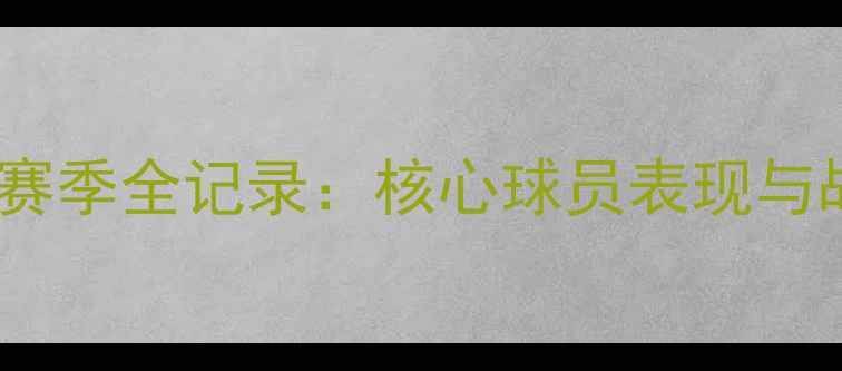 图片 多特蒙德赛季全记录：核心球员表现与战术革新1