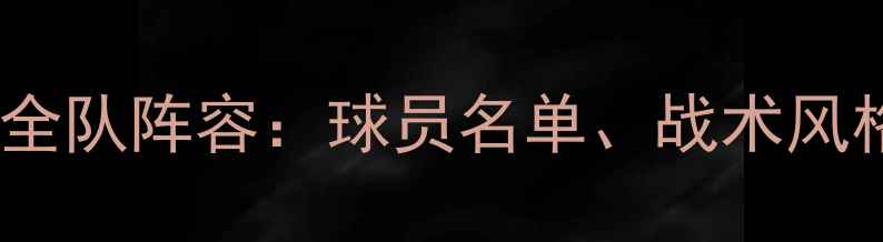 图片 多特蒙德赛季全队阵容：球员名单、战术风格与关键数据1