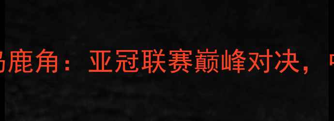 图片 大连人职业足球俱乐部vs鹿岛鹿角：亚冠联赛巅峰对决，中日足球文化碰撞与竞技智慧