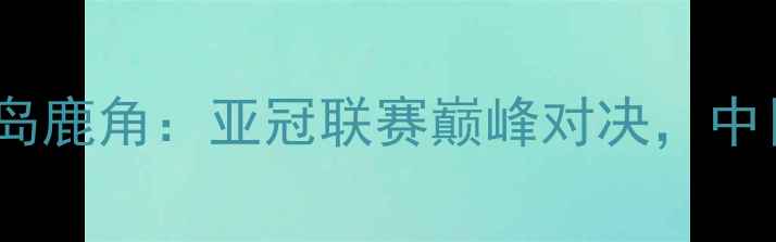 图片 大连人职业足球俱乐部vs鹿岛鹿角：亚冠联赛巅峰对决，中日足球文化碰撞与竞技智慧2