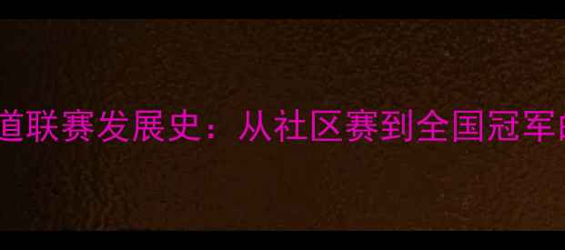 图片 大连市跆拳道联赛发展史：从社区赛到全国冠军的逆袭之路2