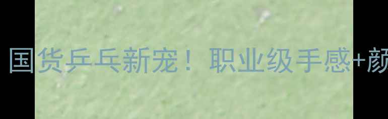 图片 大魔王乒乓球板测评｜国货乒乓新宠！职业级手感+颜值党狂喜的宝藏板面1
