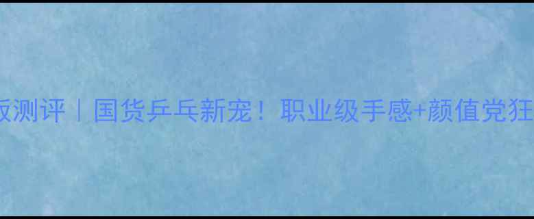 图片 大魔王乒乓球板测评｜国货乒乓新宠！职业级手感+颜值党狂喜的宝藏板面2