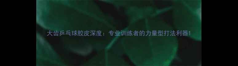 图片 大齿乒乓球胶皮深度：专业训练者的力量型打法利器1