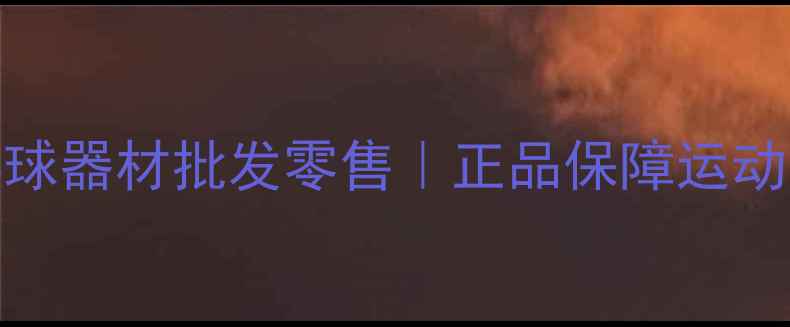 图片 天津专业乒乓球器材批发零售｜正品保障运动装备采购指南