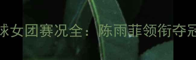 图片 天津全运会羽毛球女团赛况全：陈雨菲领衔夺冠历程与技术亮点