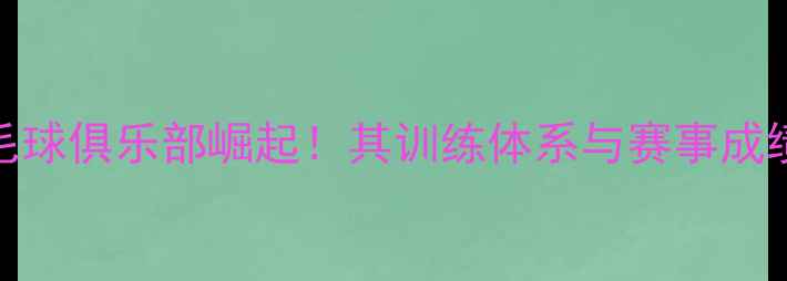 图片 天津女子羽毛球俱乐部崛起！其训练体系与赛事成绩的制胜之道