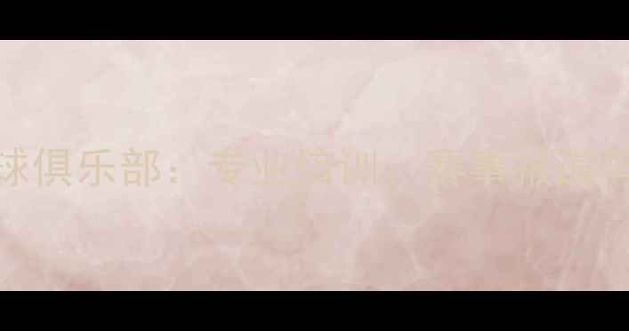 图片 天津斯博克乒乓球俱乐部：专业培训、赛事报道与器材评测全攻略