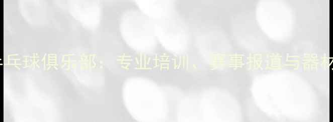 图片 天津斯博克乒乓球俱乐部：专业培训、赛事报道与器材评测全攻略2
