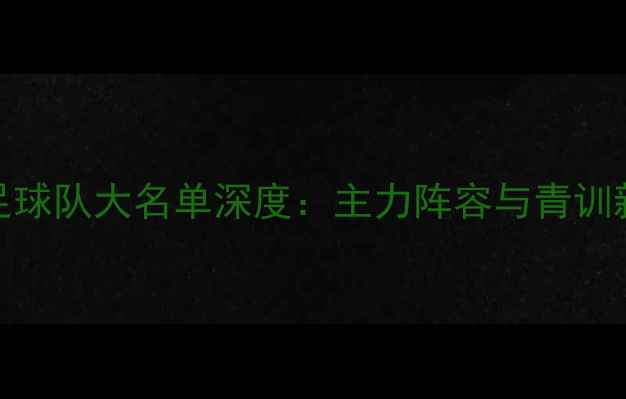 图片 天津泰达足球队大名单深度：主力阵容与青训新星全盘点