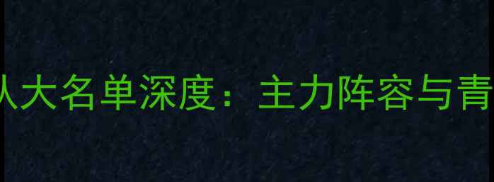 图片 天津泰达足球队大名单深度：主力阵容与青训新星全盘点1