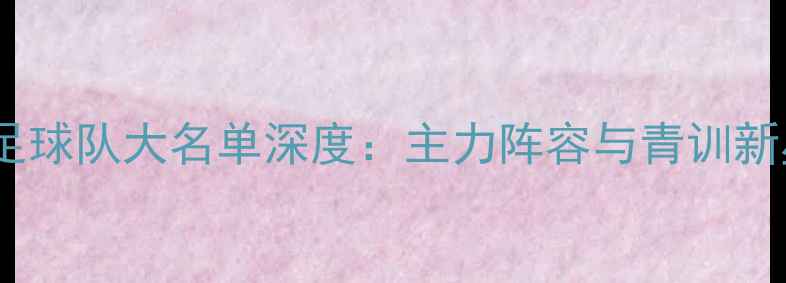 图片 天津泰达足球队大名单深度：主力阵容与青训新星全盘点2