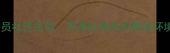 图片 天津津门虎球员社区生活：天津队球员的居住环境与公益行动2