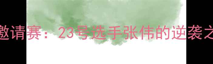 图片 天津羽毛球国际邀请赛：23号选手张伟的逆袭之路与赛事亮点全