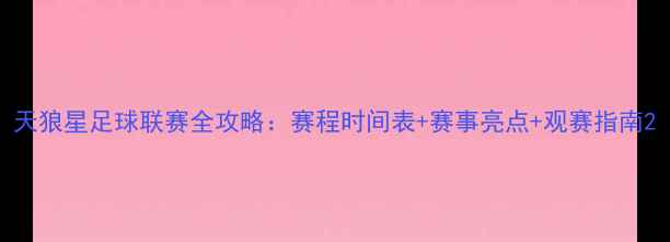 图片 天狼星足球联赛全攻略：赛程时间表+赛事亮点+观赛指南2