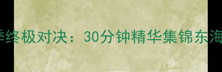 图片 奇才VS猛龙赛季终极对决：30分钟精华集锦东海岸双雄争霸战1
