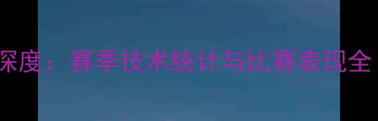 图片 奥斯卡球员数据深度：赛季技术统计与比赛表现全（附数据图表）1