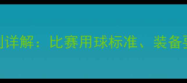 图片 奥运羽毛球规则详解：比赛用球标准、装备要求及训练技巧