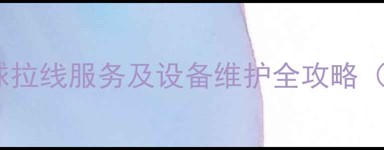 图片 如何选择广州羽毛球拉线服务及设备维护全攻略（含专业机构推荐）2