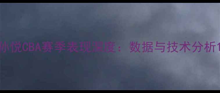 图片 孙悦CBA赛季表现深度：数据与技术分析1