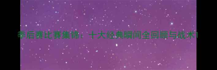 图片 季后赛比赛集锦：十大经典瞬间全回顾与战术1