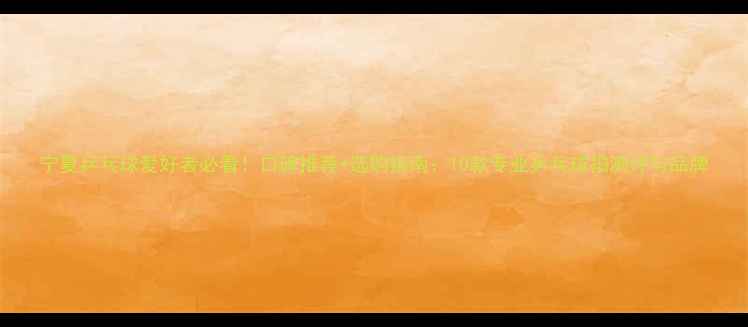 图片 宁夏乒乓球爱好者必看！口碑推荐+选购指南：10款专业乒乓球拍测评与品牌