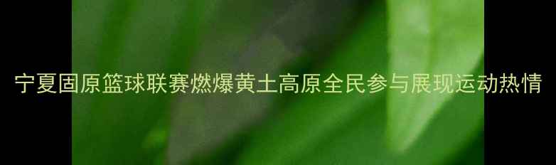 图片 宁夏固原篮球联赛燃爆黄土高原全民参与展现运动热情