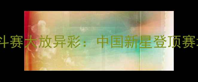 图片 宋佳妍国际格斗赛大放异彩：中国新星登顶赛场背后的秘密2