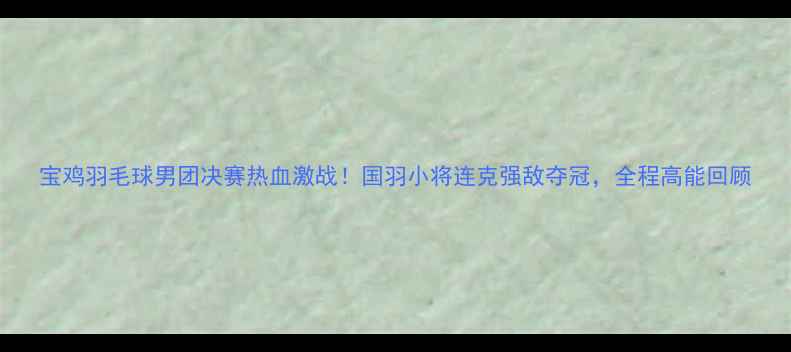 图片 宝鸡羽毛球男团决赛热血激战！国羽小将连克强敌夺冠，全程高能回顾