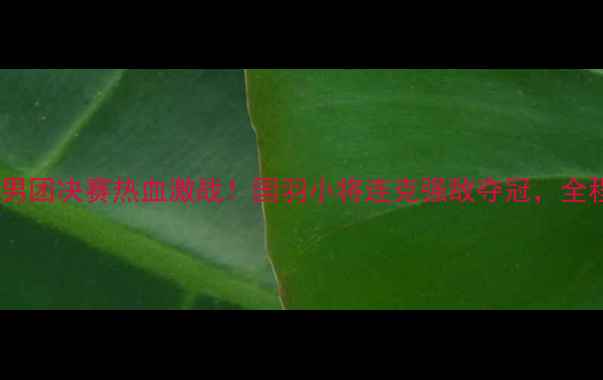图片 宝鸡羽毛球男团决赛热血激战！国羽小将连克强敌夺冠，全程高能回顾1