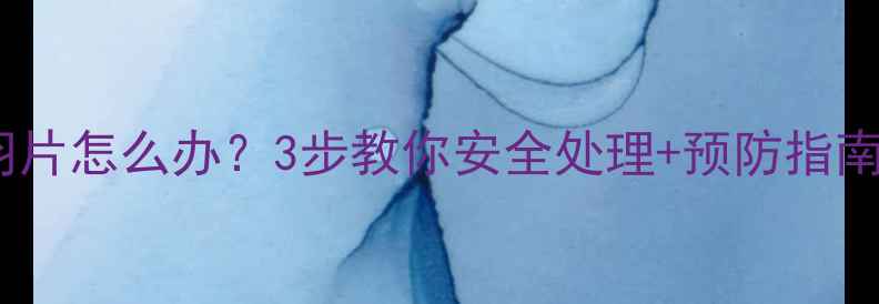 图片 宠物误食羽毛球羽片怎么办？3步教你安全处理+预防指南（附清洁妙招）1