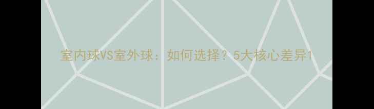 图片 室内球VS室外球：如何选择？5大核心差异1