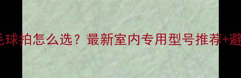 图片 室内羽毛球拍怎么选？最新室内专用型号推荐+避坑指南2