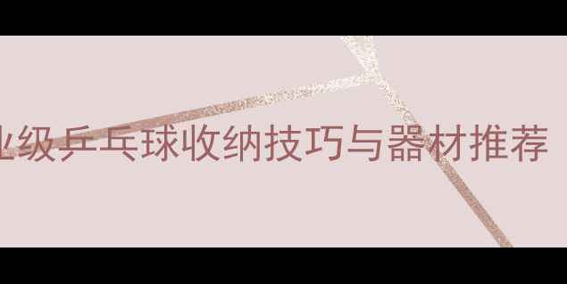 图片 家庭必备！专业级乒乓球收纳技巧与器材推荐（附选购指南）