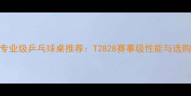 图片 家用专业级乒乓球桌推荐：T2828赛事级性能与选购指南