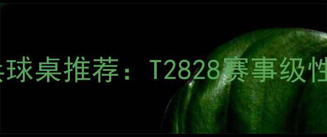 图片 家用专业级乒乓球桌推荐：T2828赛事级性能与选购指南1