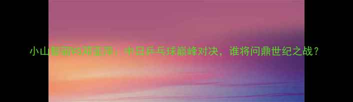 图片 小山智丽VS邓亚萍：中日乒乓球巅峰对决，谁将问鼎世纪之战？